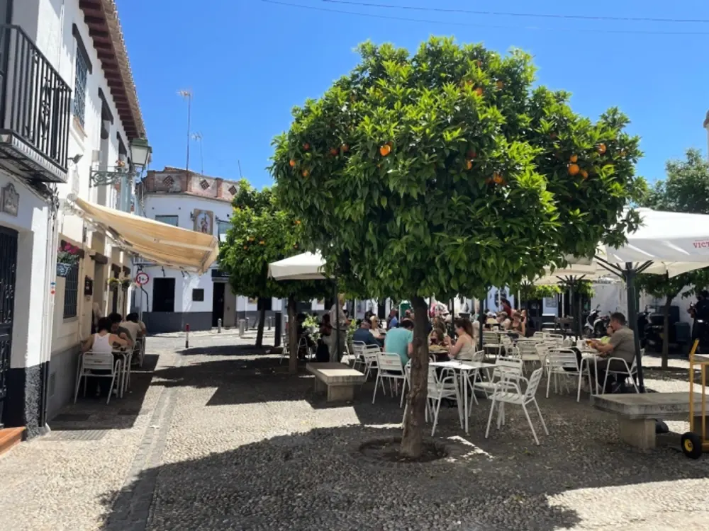 Location de Vacances Grenade 69