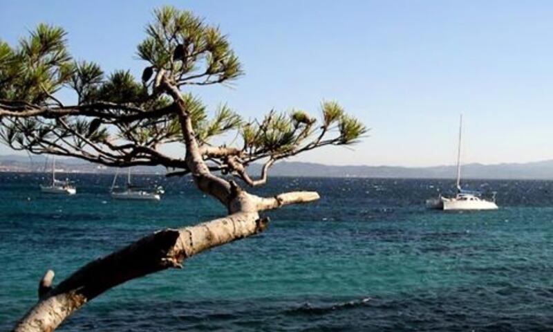 Camping Tikayan Domaine Du Golfe De Saint Tropez **** - - Grimaud - Port Grimaud - 26