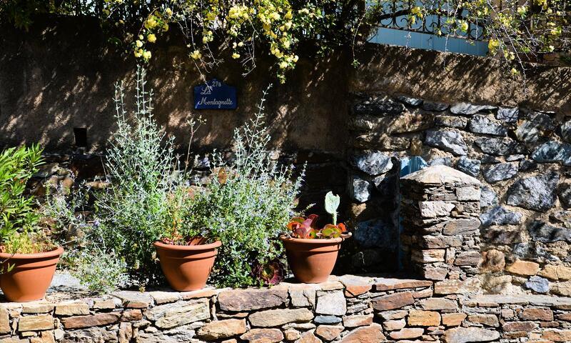 Résidence Grilaf-grimaud - - Grimaud - Port Grimaud - 15