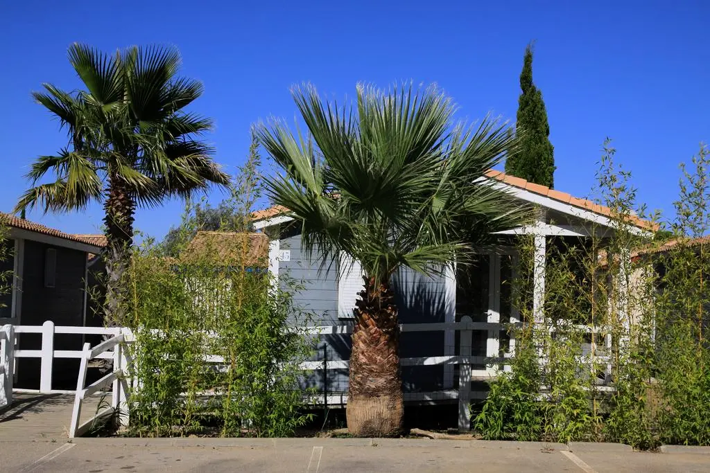 Camping Le Hameau des Canisses3 étoiles★★★