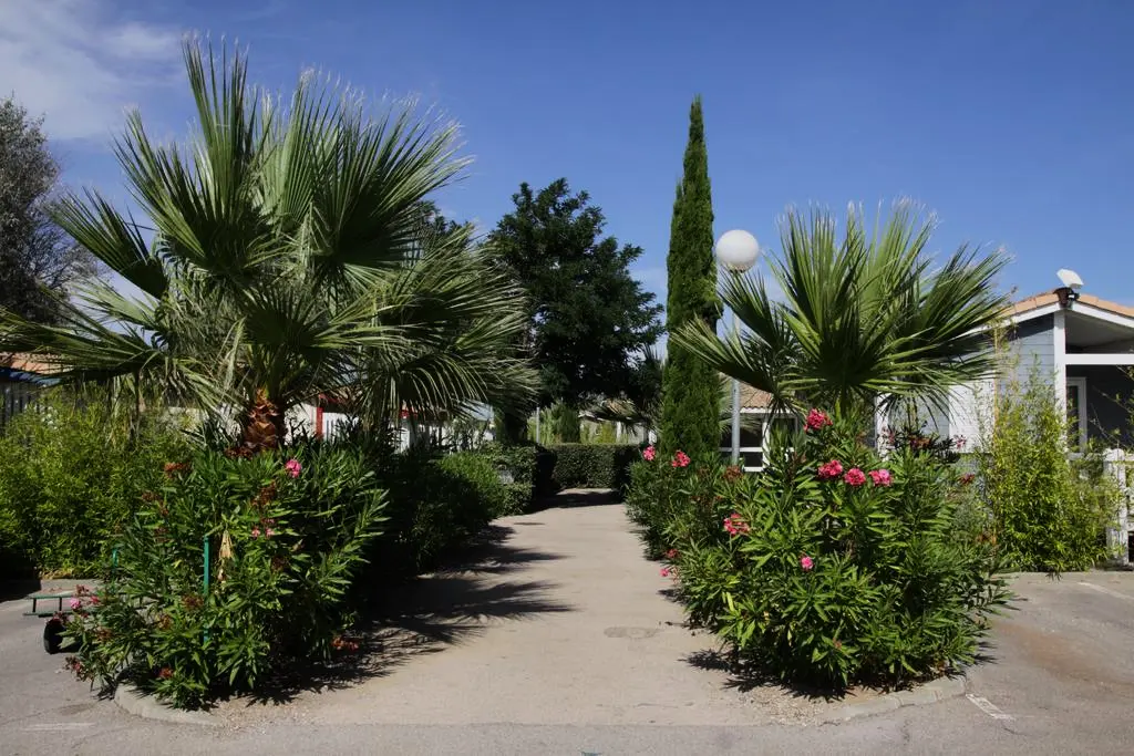 Camping Le Hameau des Canisses3 étoiles★★★