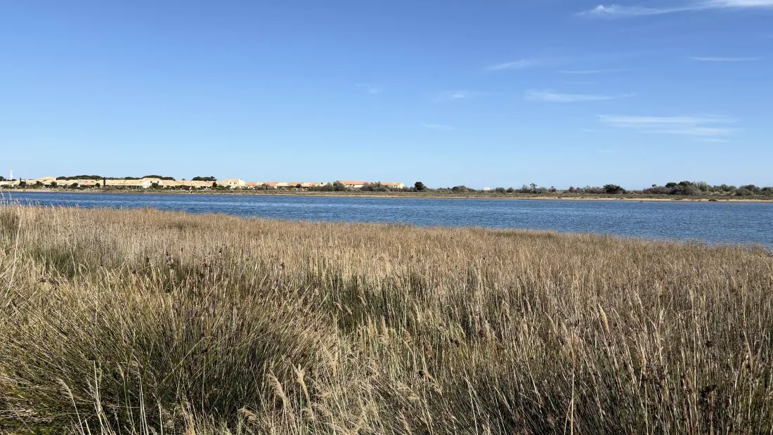 Résidence Maisons De La Plage