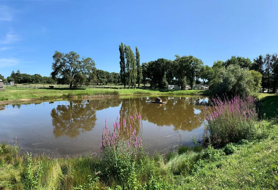 Camping L'Étang du Pays Blanc 4 étoiles★★★★