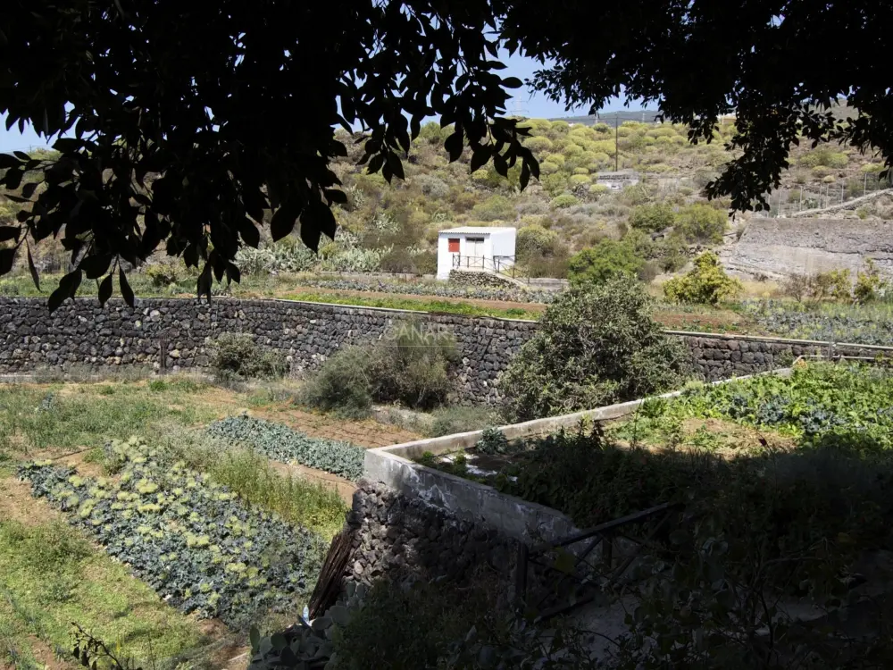 Maison de Vacances Guía de Isora 3