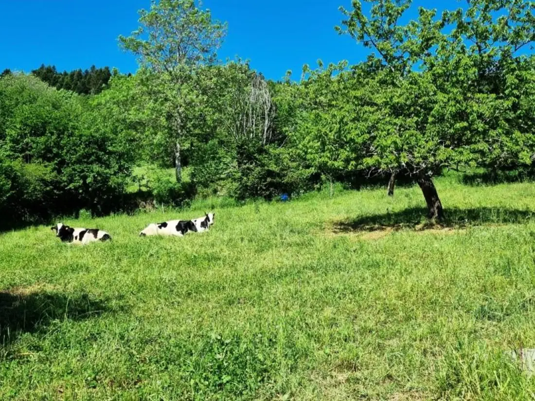 Maison de Vacances GUMIERES 4