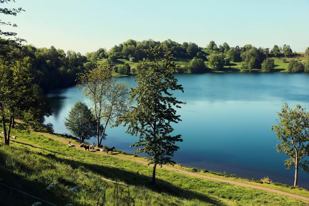 Domaine Park Eifel Center Parcs