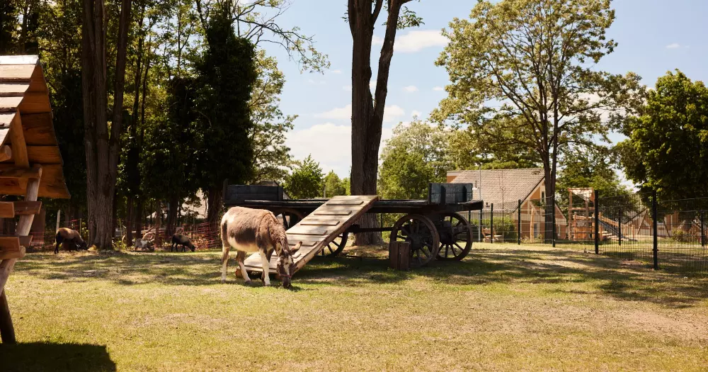 Domaine Park Eifel Center Parcs