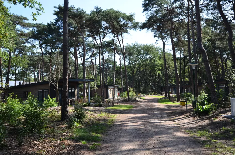 De Kleine Belties (Leisureflow)