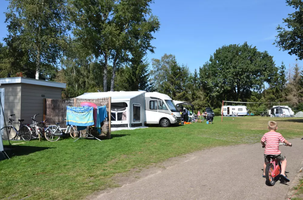 De Kleine Belties (Leisureflow)