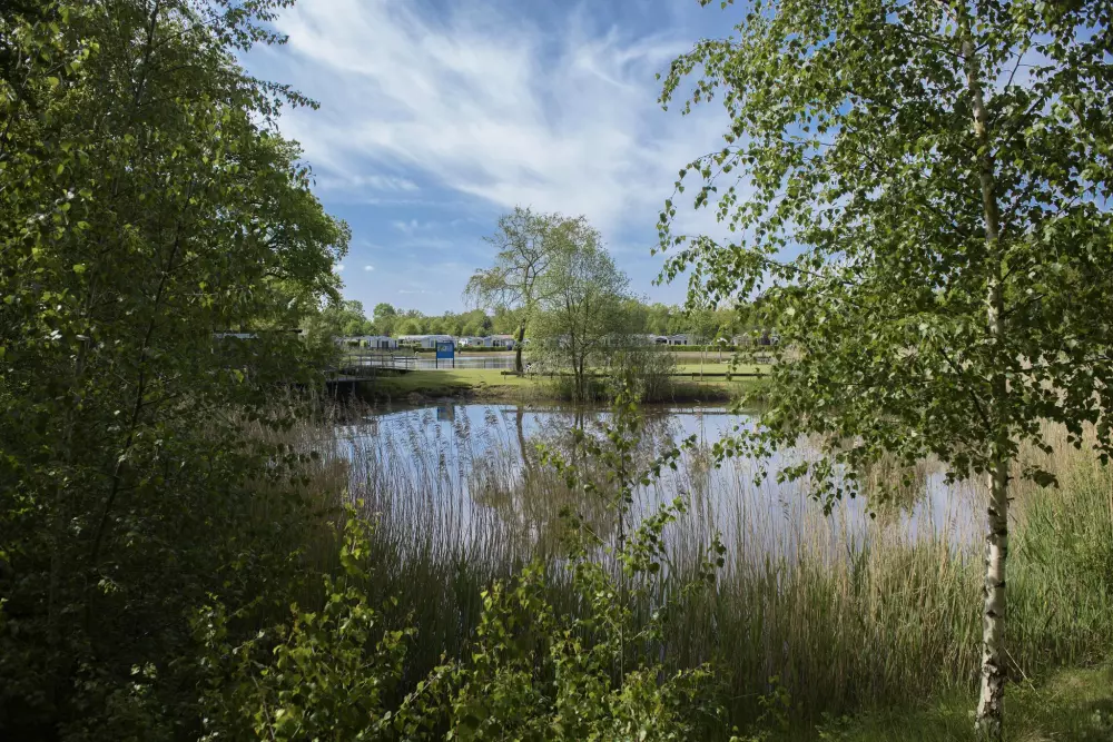 De Kleine Belties (Leisureflow)