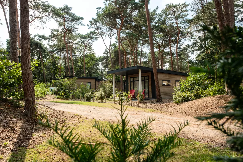 De Kleine Belties (Leisureflow)