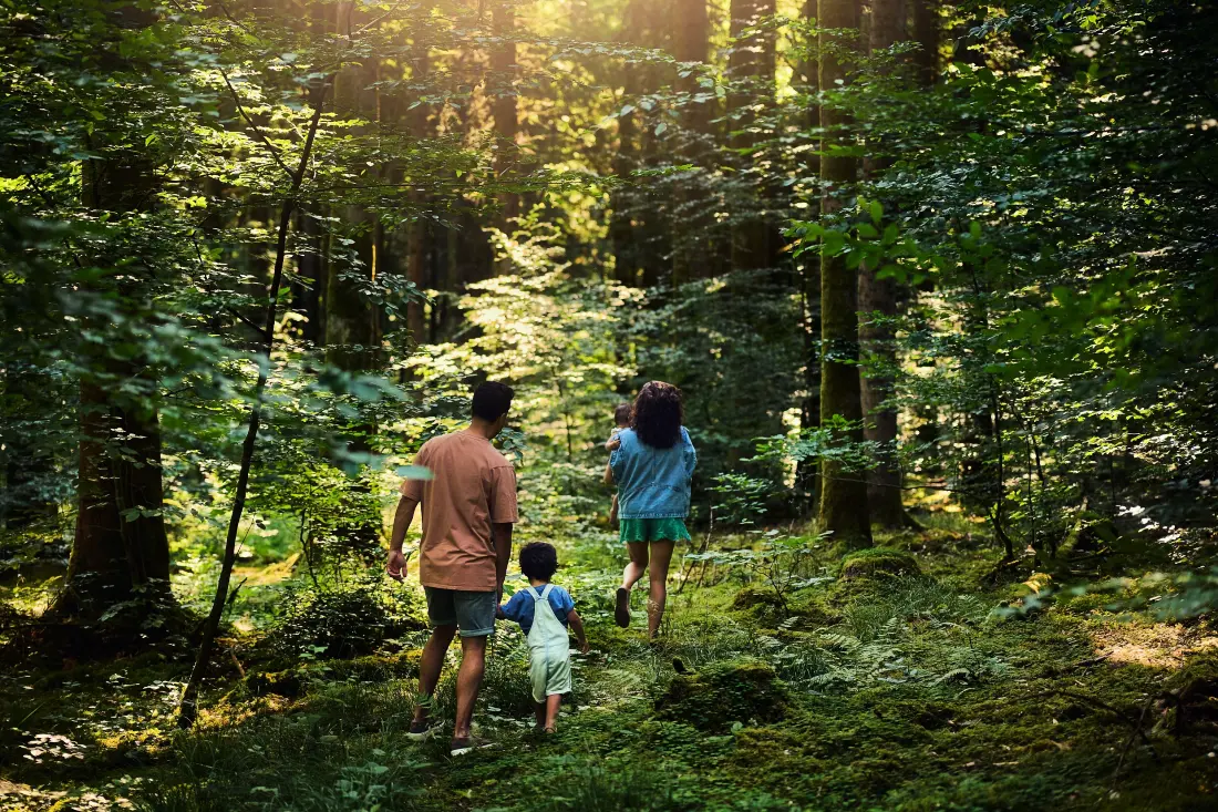 Center Parcs - Domaine Les Trois Forêts