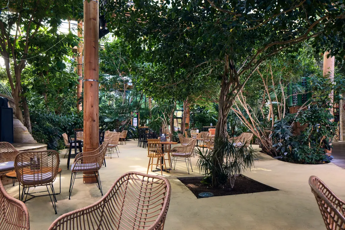 Center Parcs - Domaine Les Trois Forêts