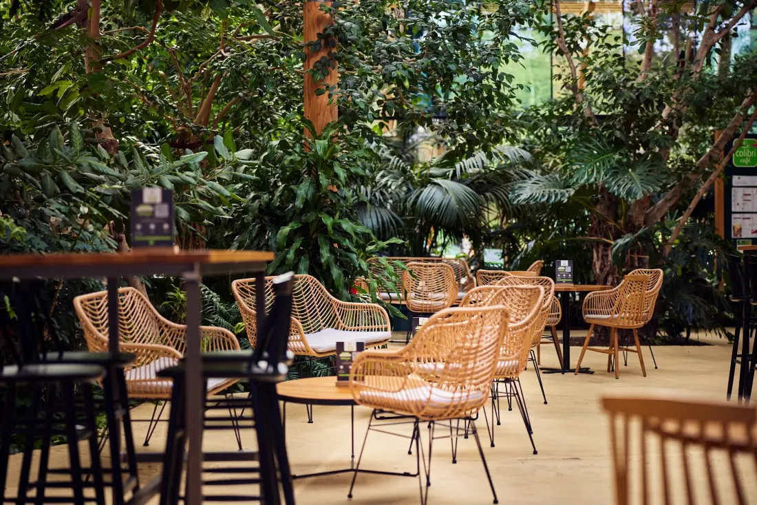 Center Parcs - Domaine Les Trois Forêts