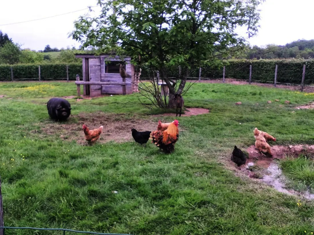 Maison de Vacances Haut-Bocage-Maillet 2