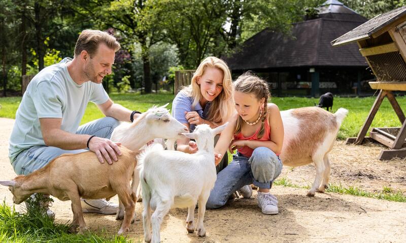 Domaine Het Heijderbos Center Parcs - 18