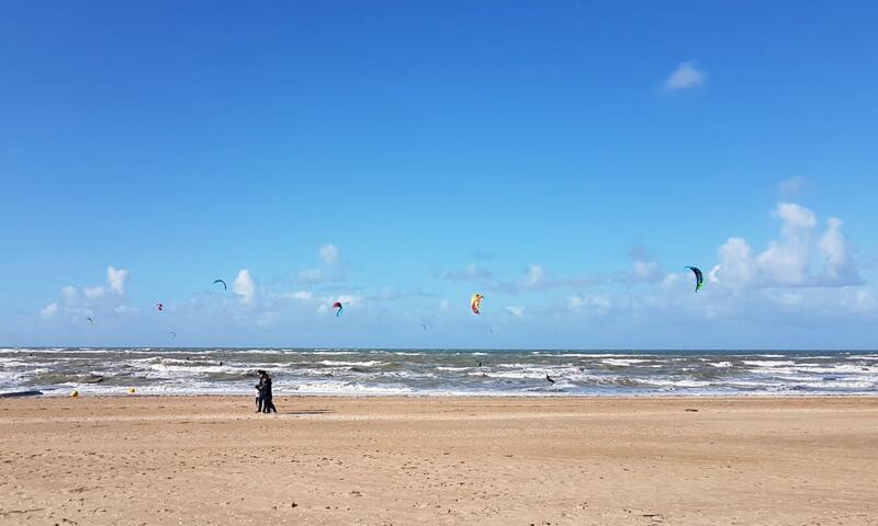 Appartement 2 Chambres à 150 M De La Plage - - Houlgate - 10