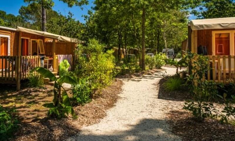 Camping L'Oree Du Bois **** - Hourtin - 19