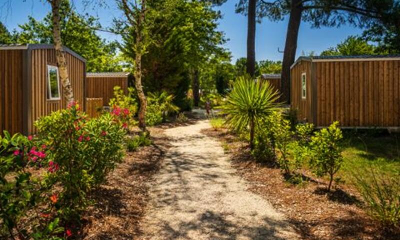 Camping L'Oree Du Bois **** - Hourtin - 21