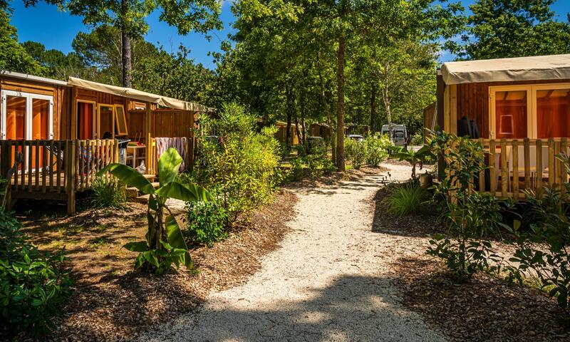Camping l'Orée du Bois **** - Hourtin - 13