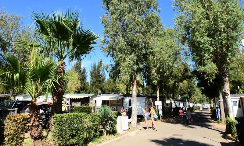 France - Côte d'Azur - Hyères - Camping Les Palmiers 4* - Maeva Camping