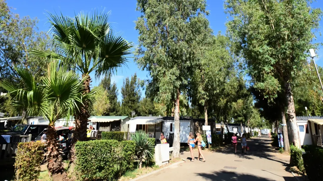 Camping Tikayan Les Palmiers 4 étoiles★★★★