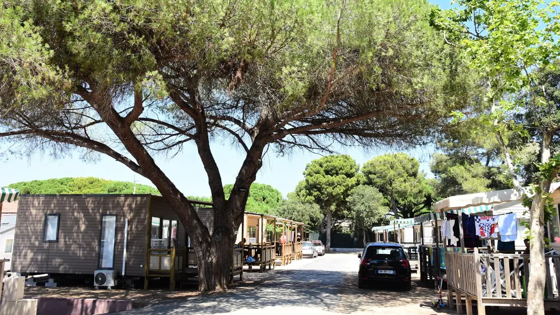 Camping Tikayan Le Méditerranée 3 étoiles★★★