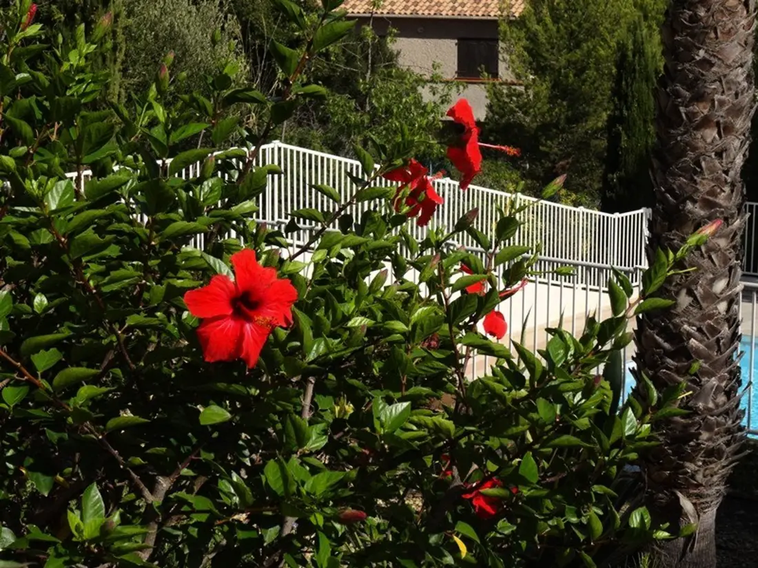 Location de Vacances Hyères 187