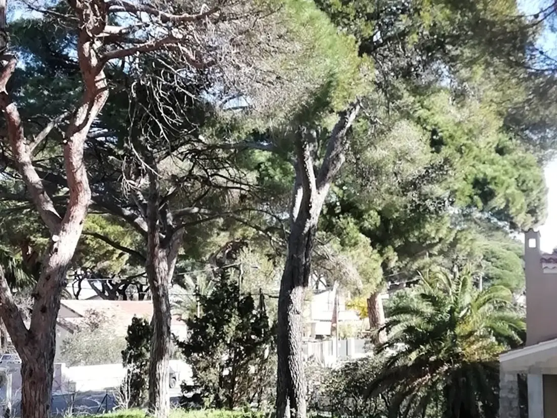 Location de Vacances Hyères 202