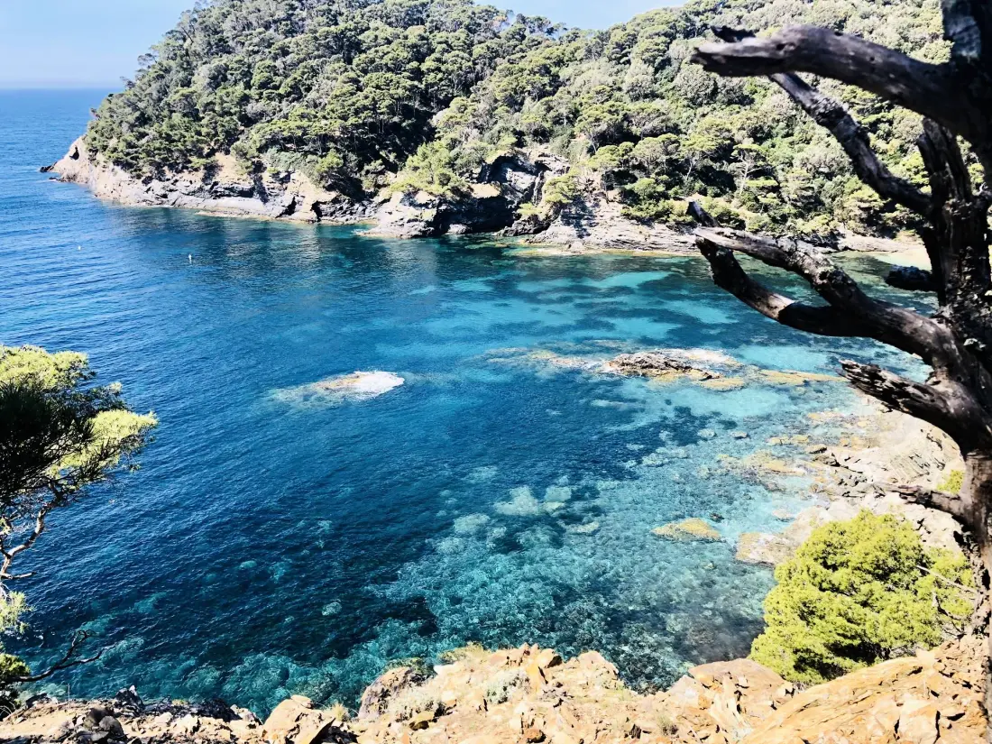 Résidence Cap Esterel