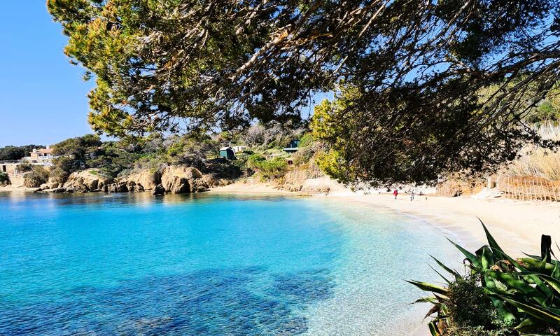 Résidence La Salamandre - - Hyères Les Palmiers - Presqu'île de Giens - 21