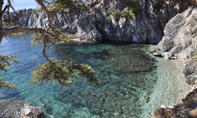 Résidence La Salamandre - - Hyères Les Palmiers - Presqu'île de Giens - 20