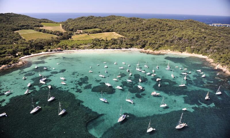 Résidence La Salamandre - - Hyères Les Palmiers - Presqu'île de Giens - 22