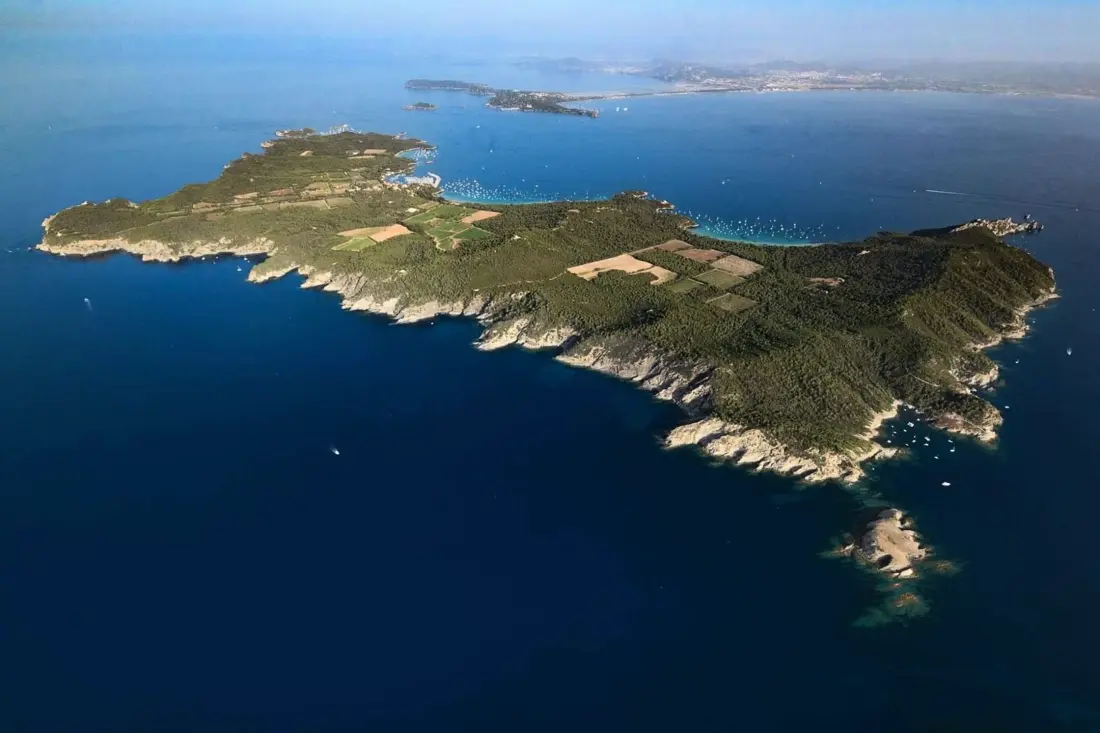 Résidence Le Palm -hyeres
