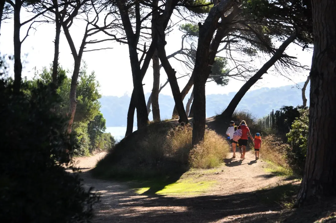 Résidence Le Palm -hyeres