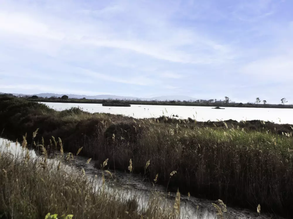 Maison de Vacances Hyères