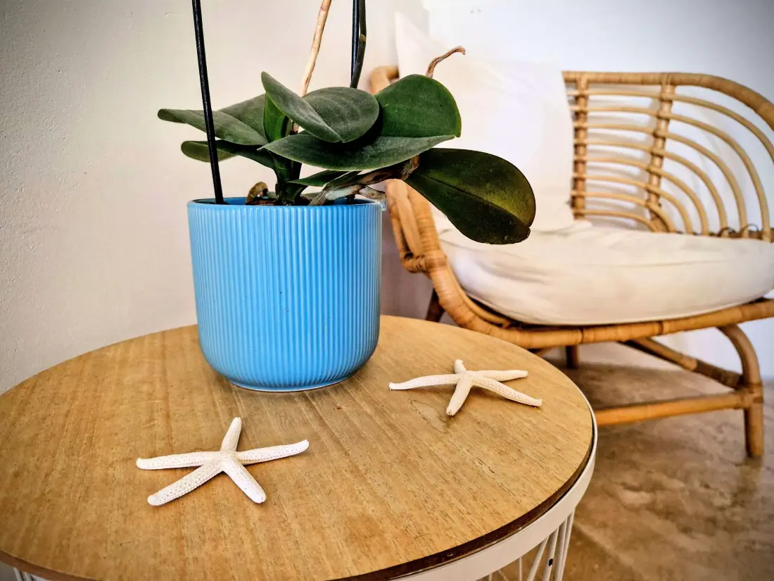 Résidence La Crique-hyeres