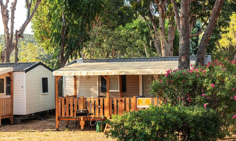 Camping Le Hameau des Pins, La Moutonne - - La Crau - 8
