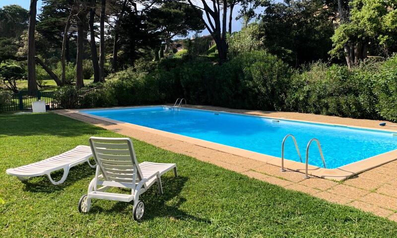 Villa Pieds Dans L'eau-presqu'île De Giens - - Hyères - 20