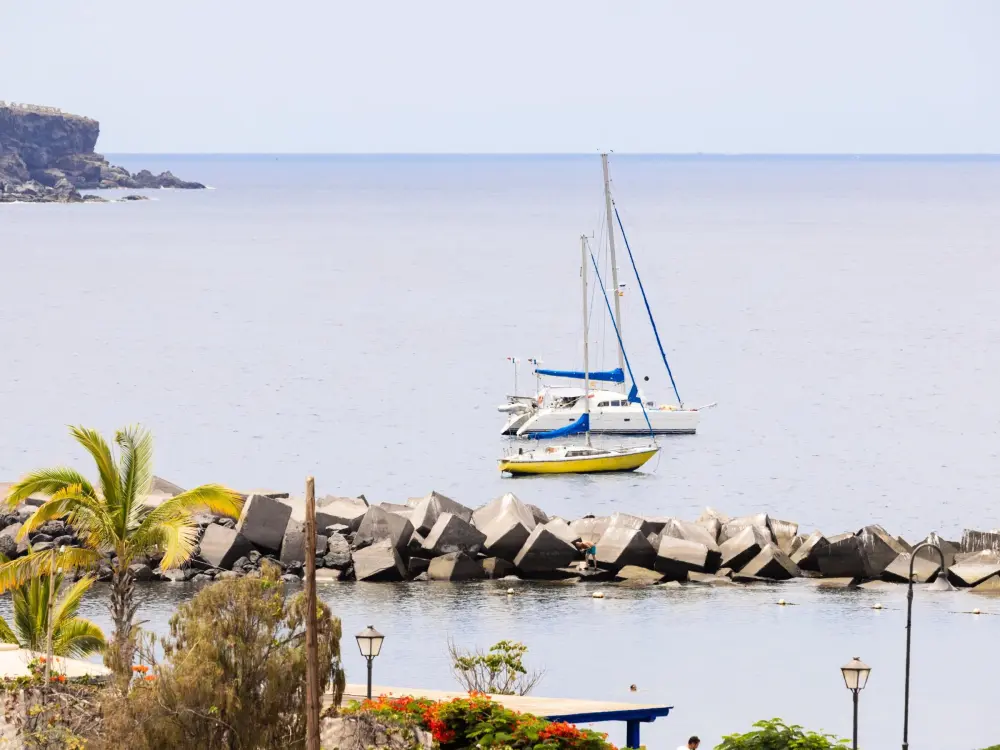 Location de Vacances Icod de los Vinos 12