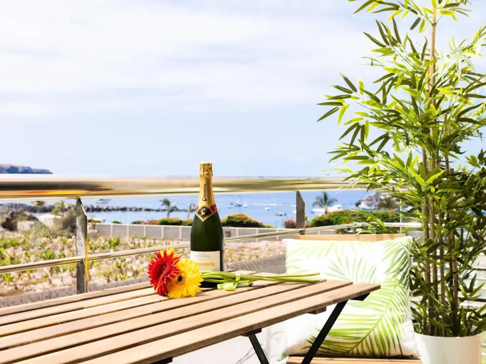Location de Vacances Icod de los Vinos 12