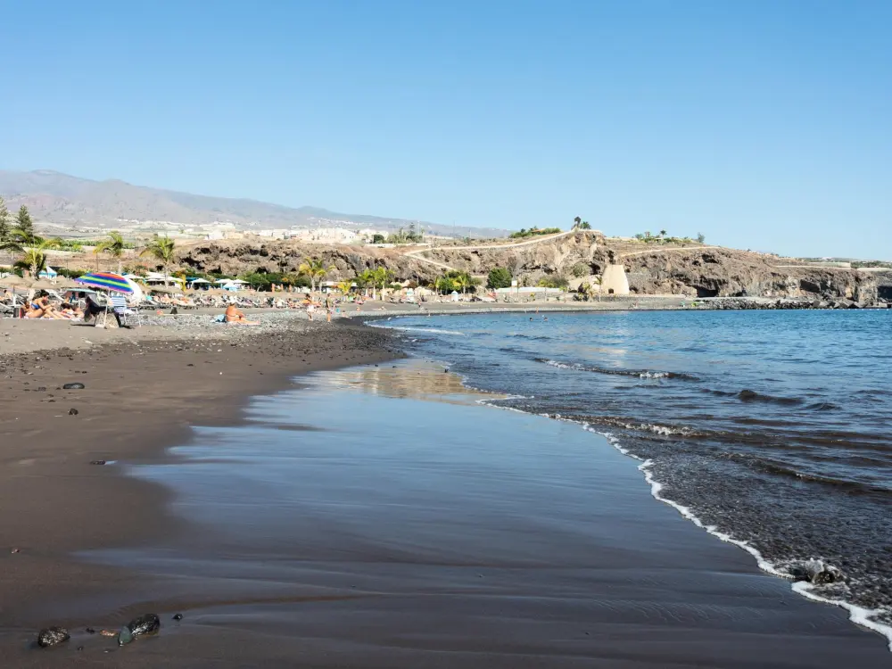 Location de Vacances Icod de los Vinos 12