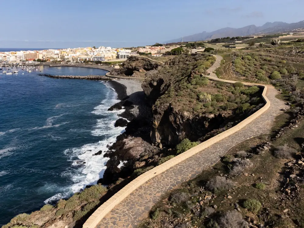 Location de Vacances Icod de los Vinos 12