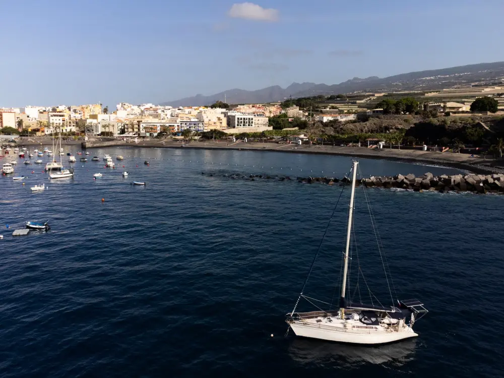Location de Vacances Icod de los Vinos 12