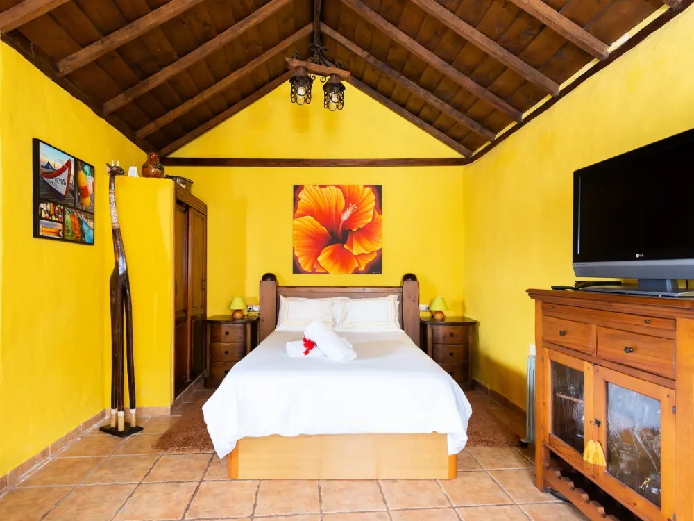 Maison de Vacances Icod de los Vinos 10