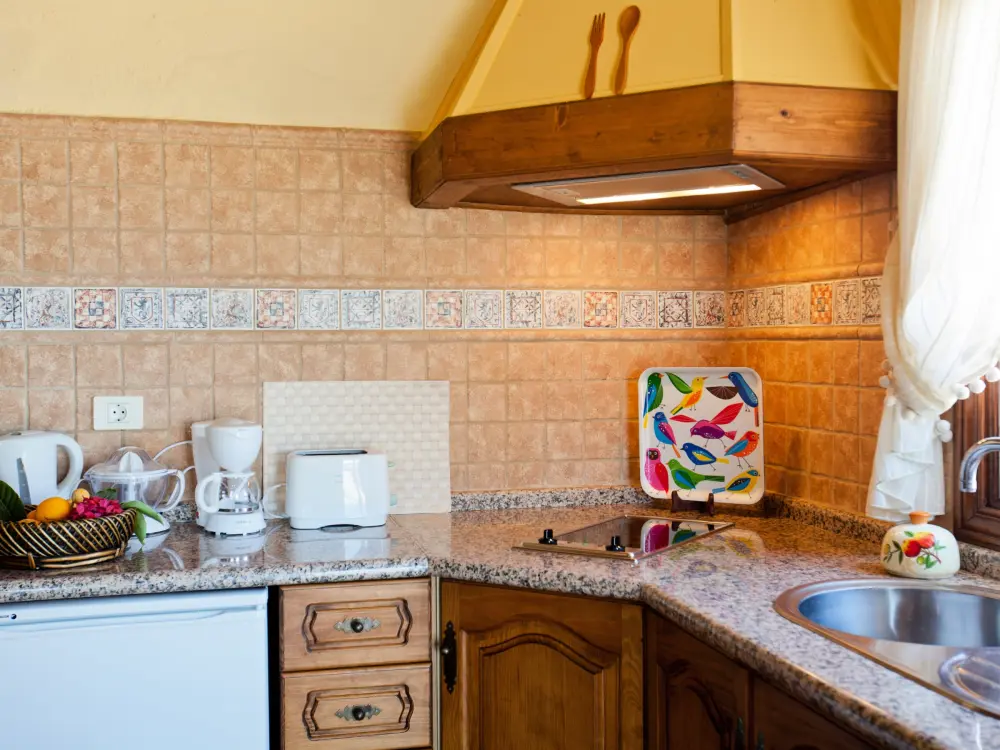 Maison de Vacances Icod de los Vinos 10