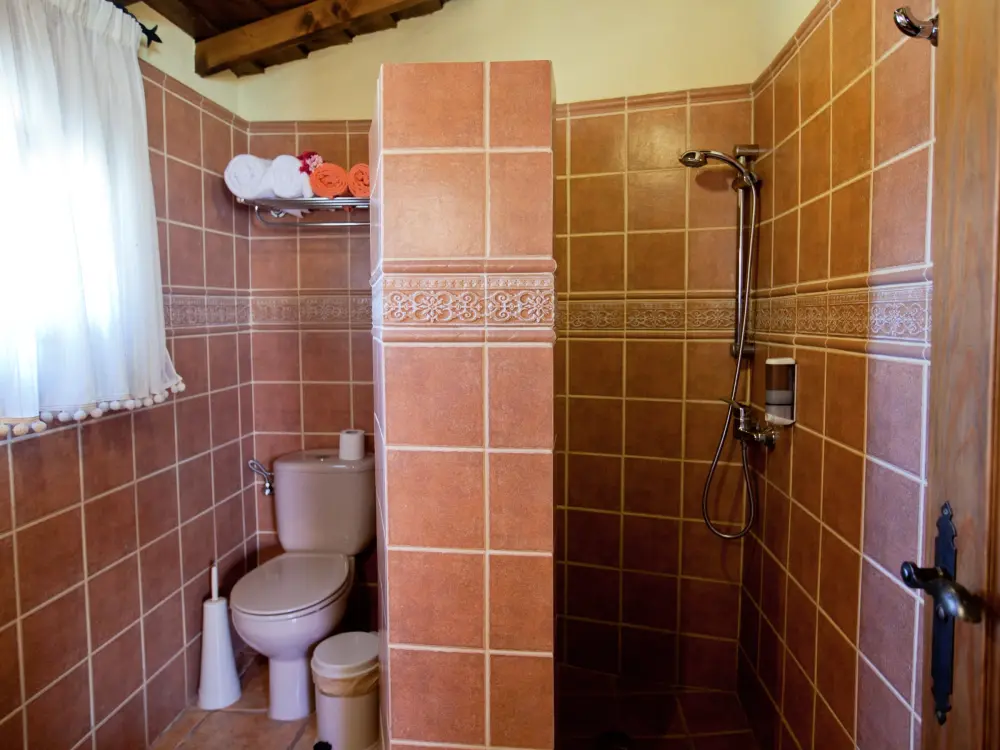 Maison de Vacances Icod de los Vinos 10