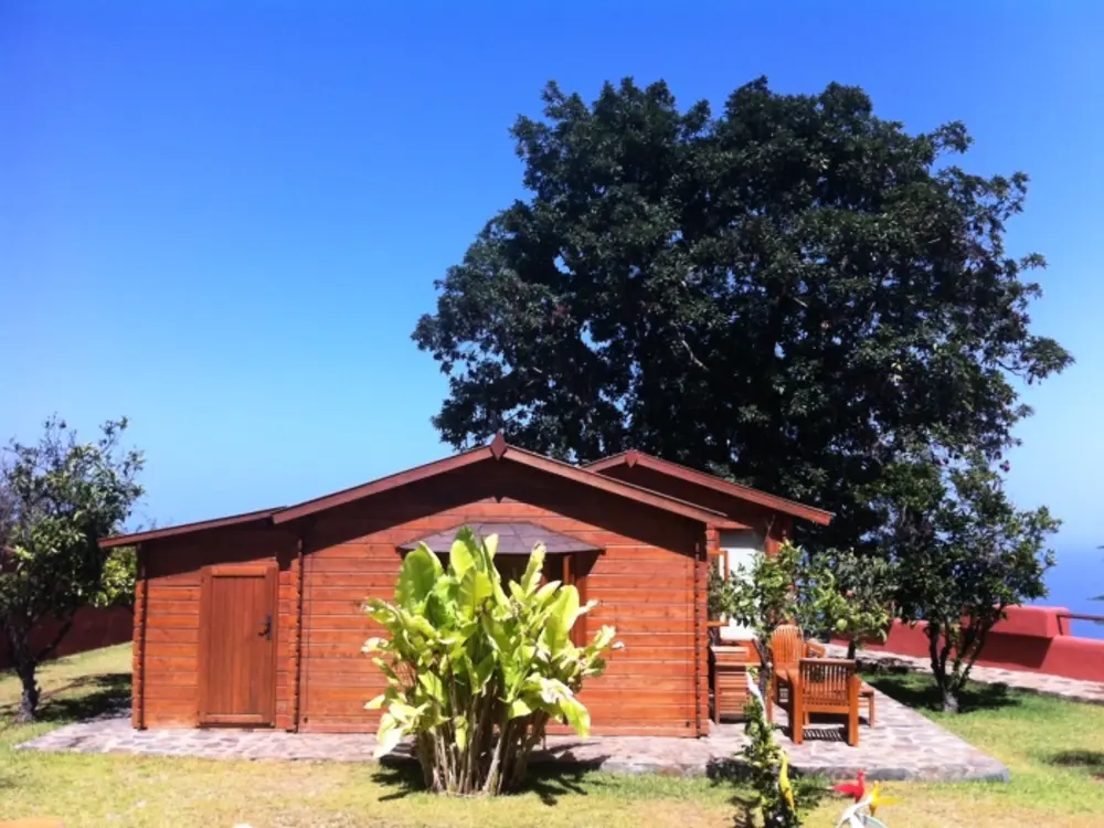 Maison de Vacances Icod de los Vinos 14