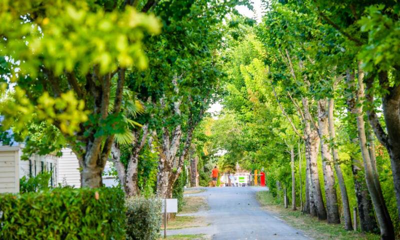 Camping Embruns d'Oléron - Le Château-d'Oléron - 12