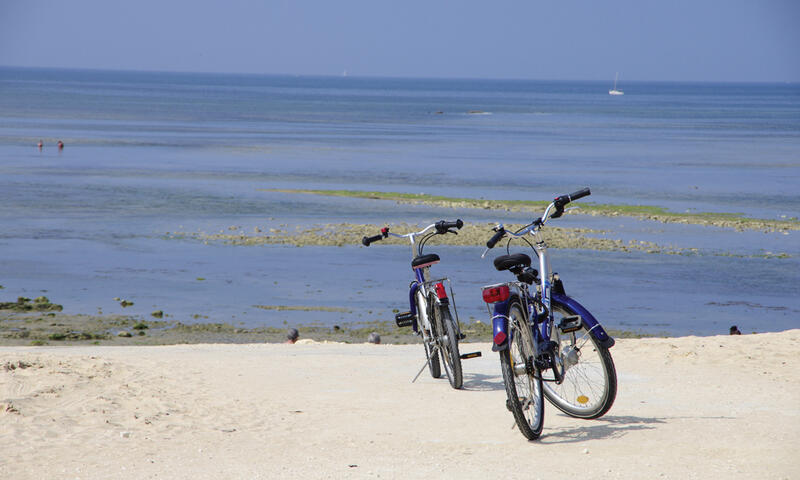 France - Atlantique Nord - Ile d'Oléron - Camping Le Suroit 4* - Maeva Sélection